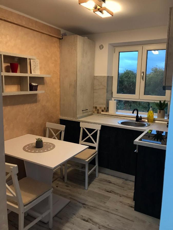 Homely Apartment Szucsáva Kültér fotó