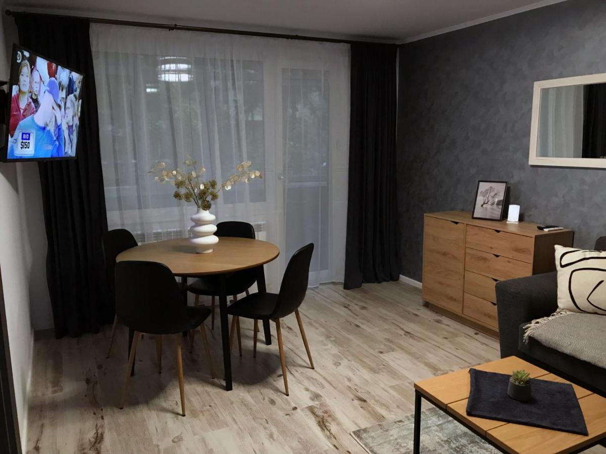 Homely Apartment Szucsáva Kültér fotó