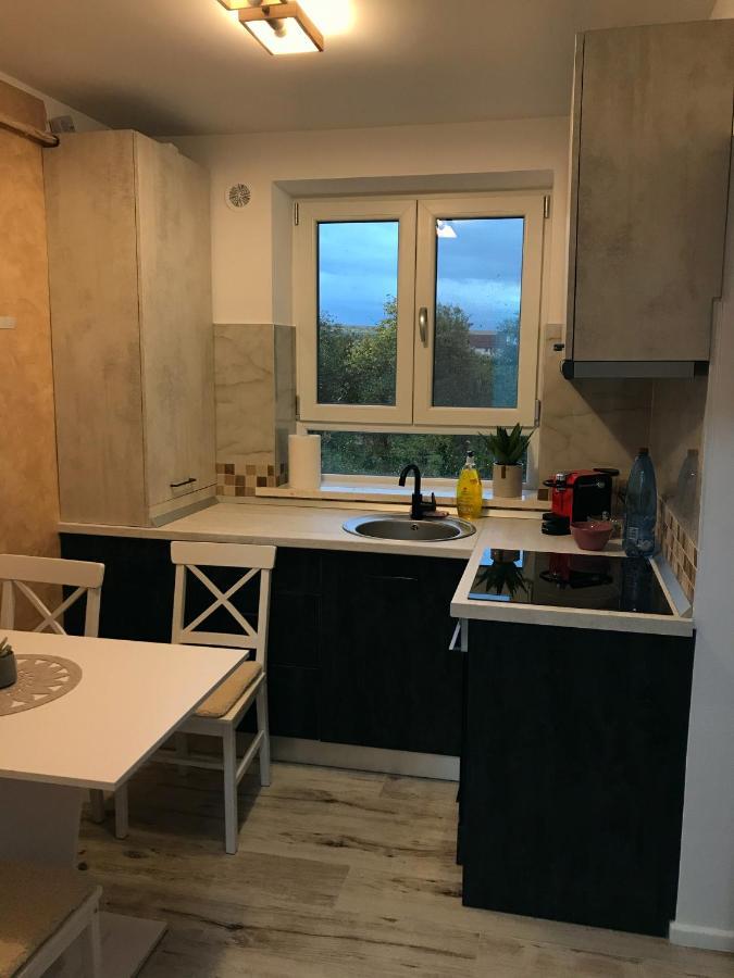 Homely Apartment Szucsáva Kültér fotó