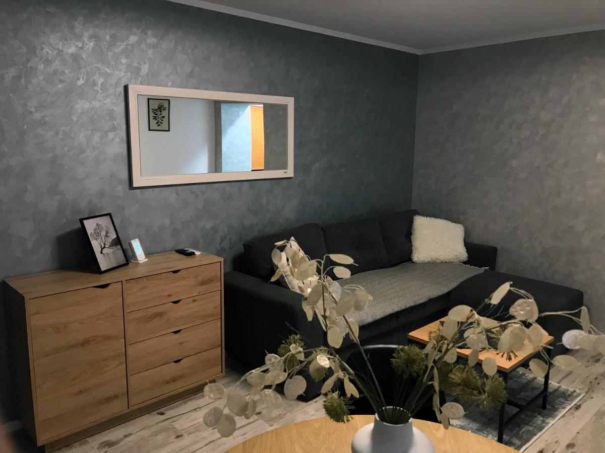 Homely Apartment Szucsáva Kültér fotó